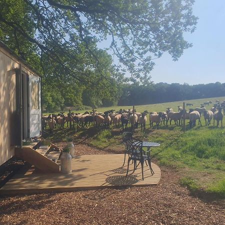 פטוורת' Coachroad Shepherds Huts מראה חיצוני תמונה