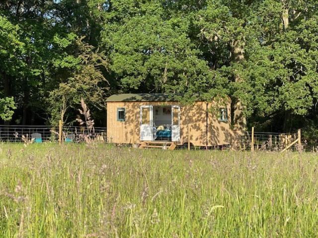פטוורת' Coachroad Shepherds Huts מראה חיצוני תמונה