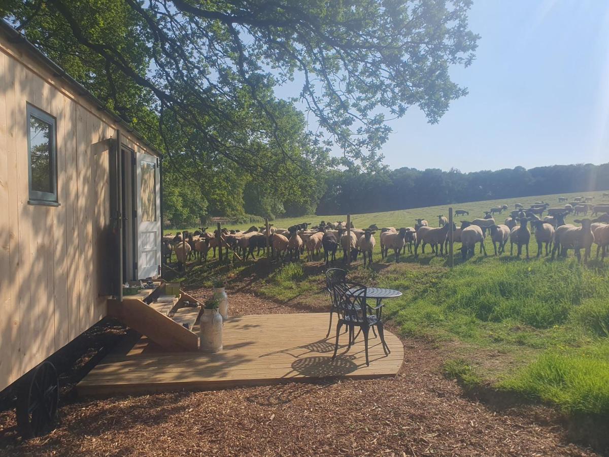 פטוורת' Coachroad Shepherds Huts מראה חיצוני תמונה